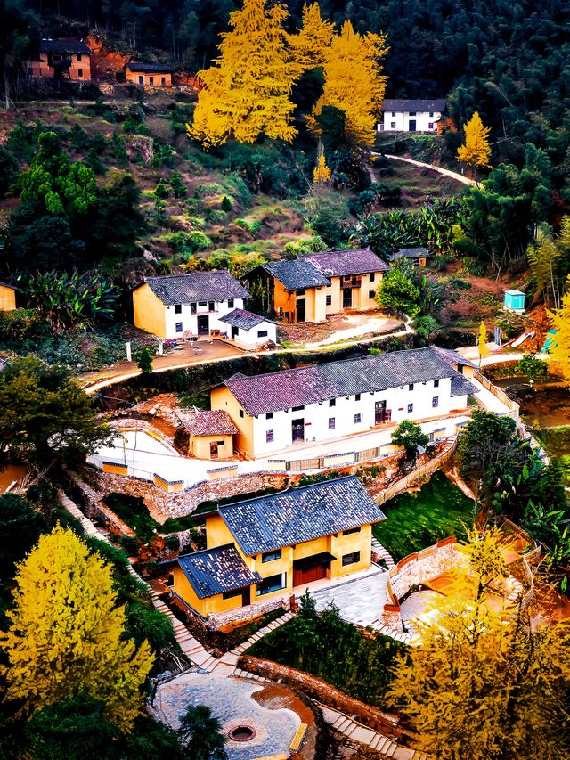 新年好去處這裡遍地盡是滿黃金甲