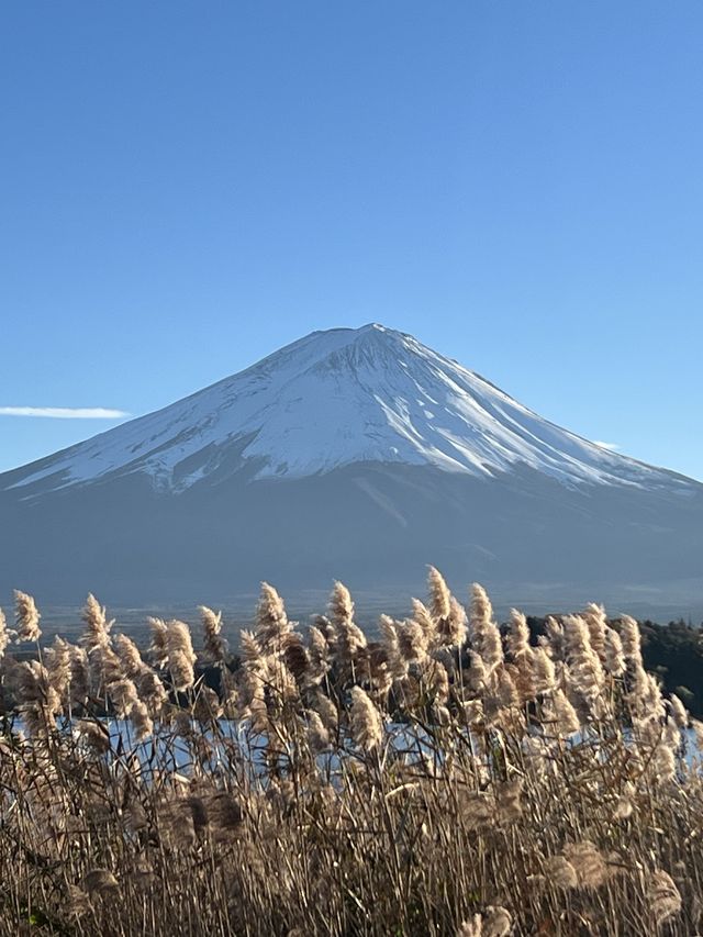 8日玩轉日本 超全攻略來襲