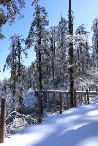 瓦屋山雪景：冬日仙境嘅正確打開方式