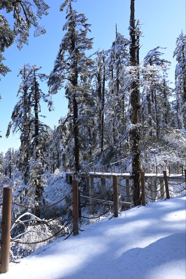 瓦屋山雪景：冬日仙境嘅正確打開方式