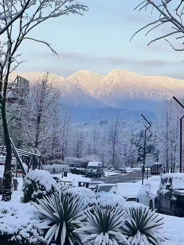 邂逅海子山的雪，邂逅一場夢幻