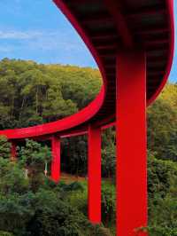 深圳｜以橋為由的大頂嶺公園，你來了嗎