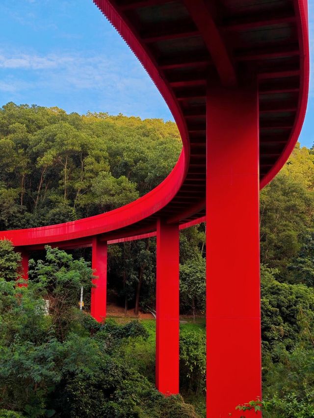 深圳｜以橋為由的大頂嶺公園，你來了嗎