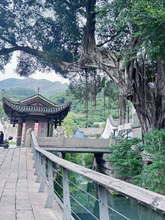 長樂六平山：一步一景，解鎖秋日限定詩意！