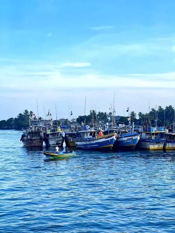 Unawatuna Beach: Discover the Magic of Sri Lanka