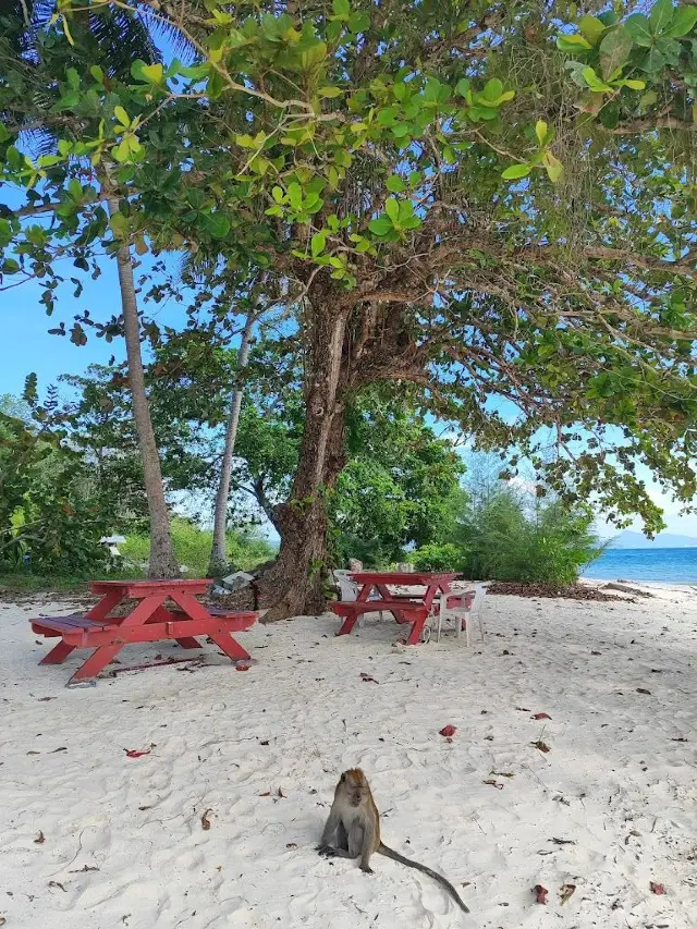 免簽馬來西亞 人均4k玩轉全攻略