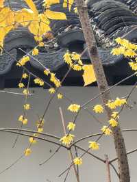 黃家花園舊址