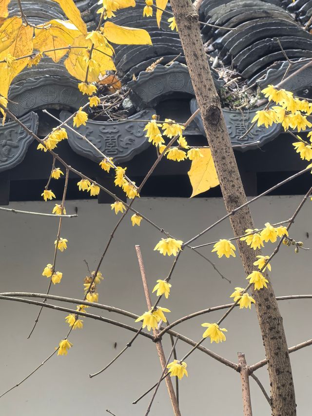 黃家花園舊址