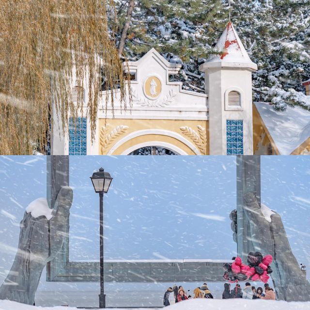 在海邊看雪景！！！威海真是太合適啦！！！