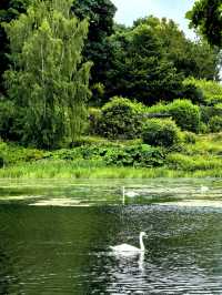 Explore the Charm of Harewood House