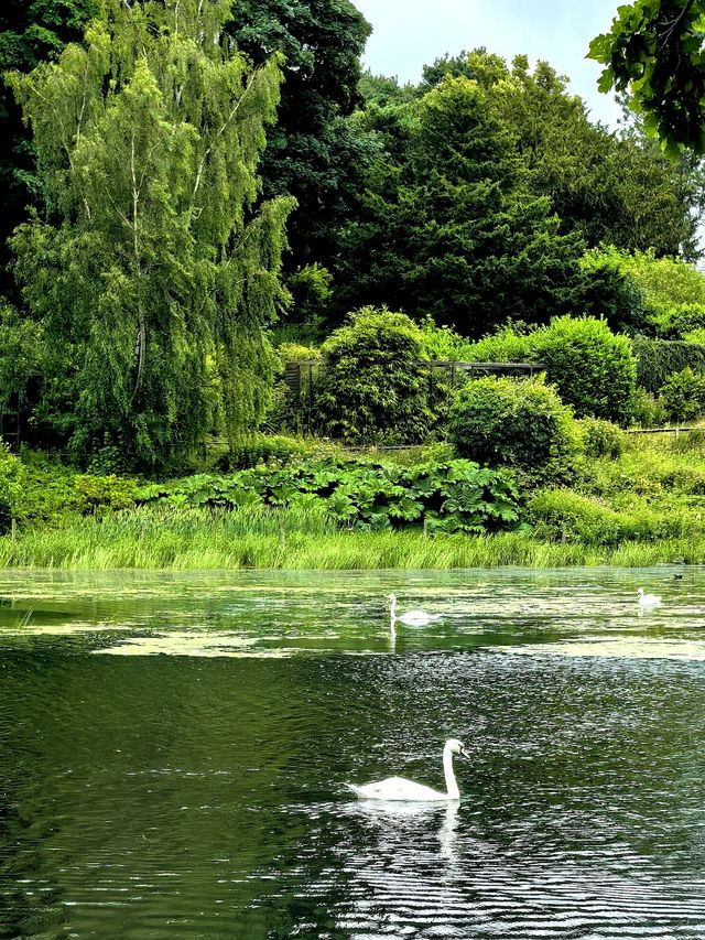 Explore the Charm of Harewood House