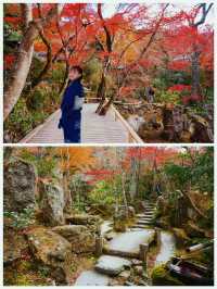 京都·寶泉院｜畫框一般繪畫卷環顧式庭院體驗和服之美