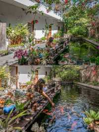 我喺肇慶邂逅一間寶藏民宿，賞花/餵魚