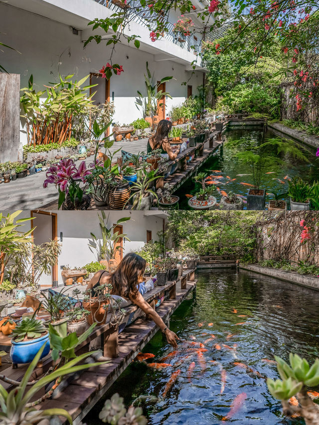 我喺肇慶邂逅一間寶藏民宿，賞花/餵魚