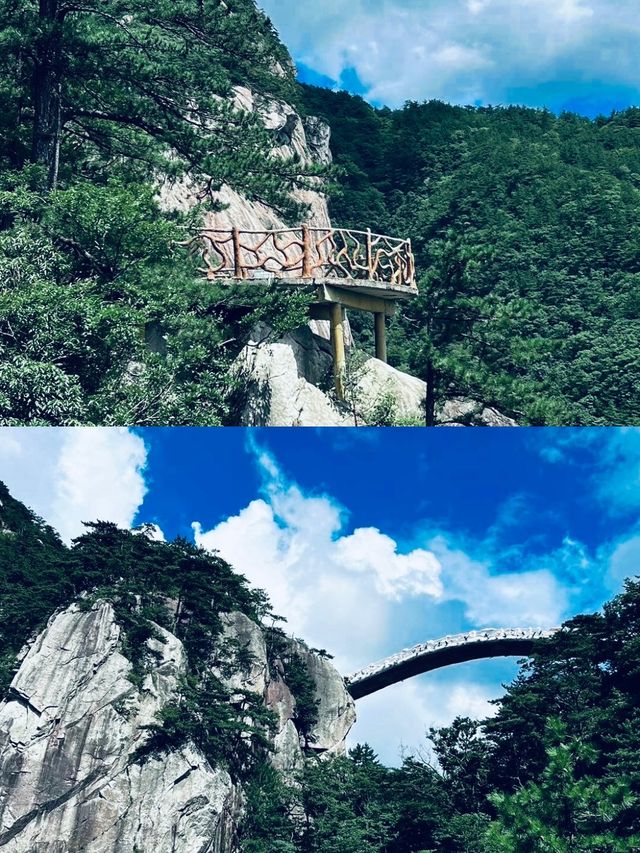 它的美很難拒絕