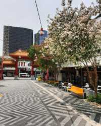 橡木公寓酒店｜布里斯本 超美江景房