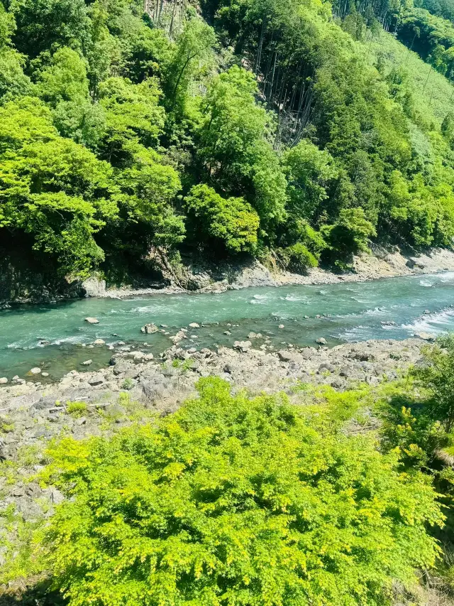 Winter Break in Japan: 4-Day Itinerary