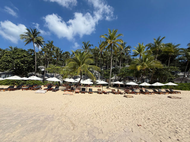 普吉島嘅秘密花園|The Surin Phuket   酒店：普吉島蘇林酒店  地址：118 M