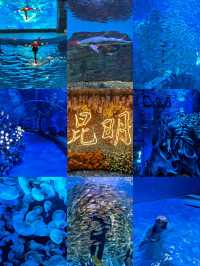 昆明！新的海洋世界！新年反向旅遊啦！