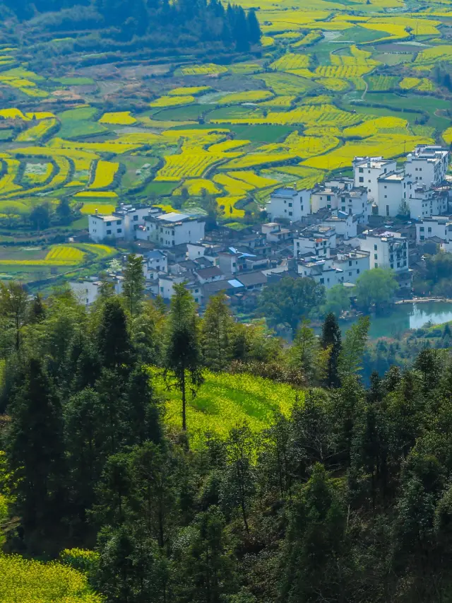 春節遊婺源 3日行程全攻略