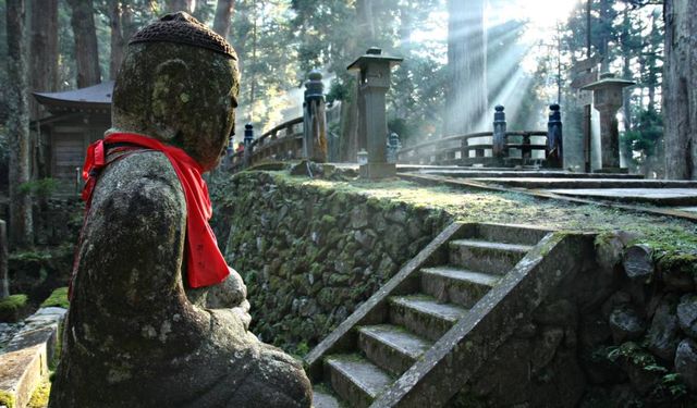 高野山一日遊 | 解鎖小眾寶藏地。