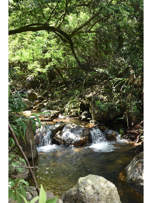 戶外徒步,就去廈門天竺山大峽谷氧吧…… 戶外徒步,就去廈門天竺山大峽谷氧吧……