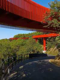 #深圳市虹橋公園之美