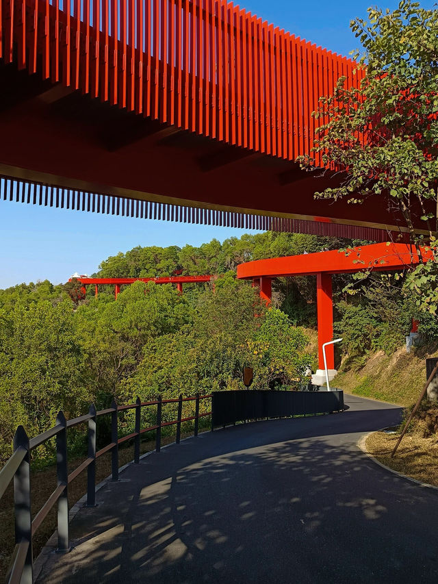 #深圳市虹橋公園之美