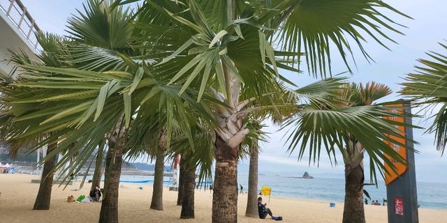 Dameisha beach 🏖 Shenzhen🌊🤩🇨🇳