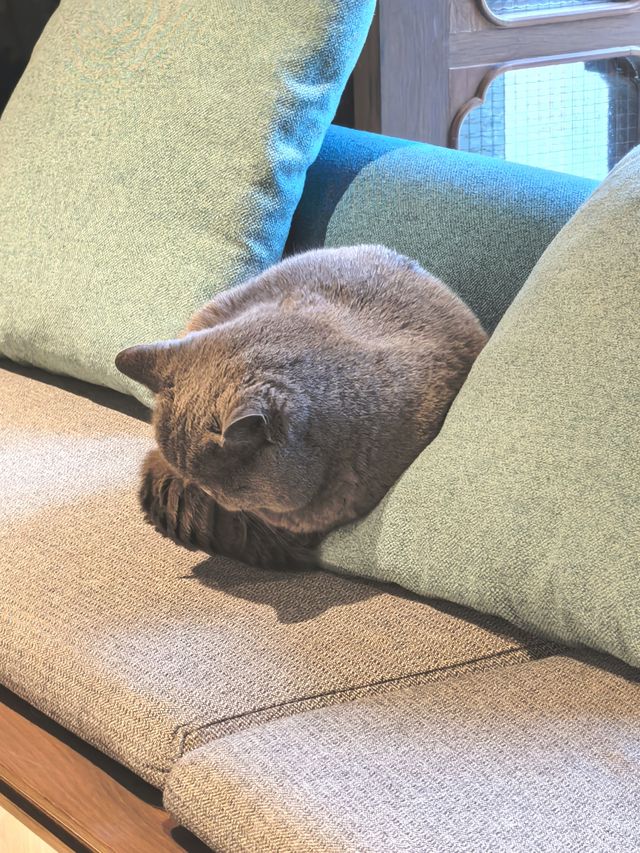 路上見識世界，途中認識自己