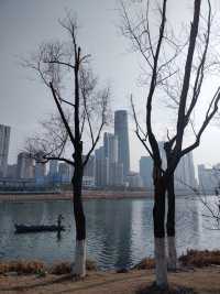 春和景明沙湖賞梅看平頭的606大廈