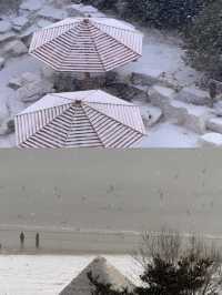 威海酒店躺平 海景房變雪景房