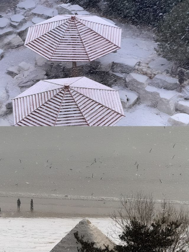威海酒店躺平 海景房變雪景房