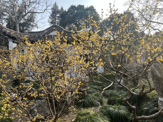 自駕 正月 下揚州