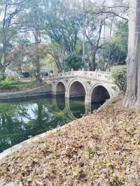 上海的小西湖—楊浦公園探尋