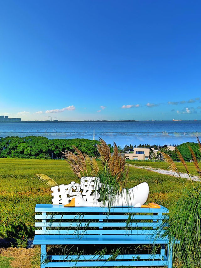 上海自駕1小時，去「小濟州島」看藍色大海