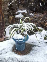 徑山寺觀雪