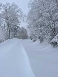 新年旅行第一站，志賀高原滑雪全攻略