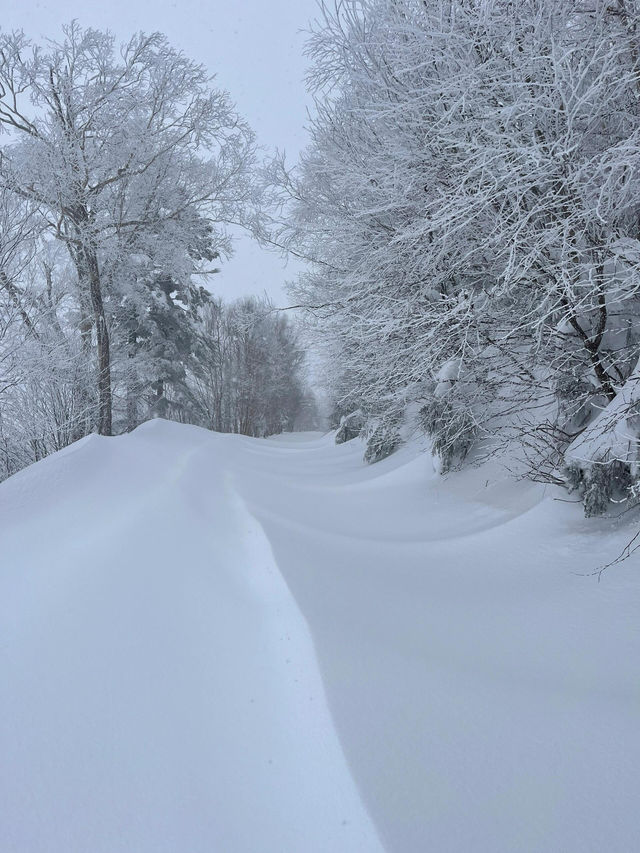 新年旅行第一站，志賀高原滑雪全攻略