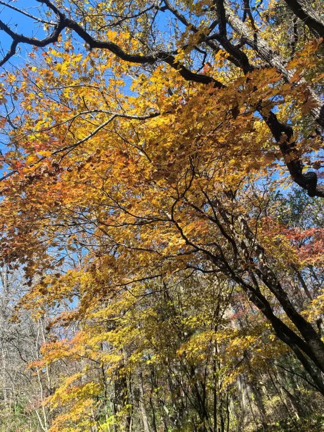 5일간의 안투 여행, 이 가이드 하나면 충분!