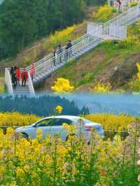 德陽油菜花季封神攻略 冷門花海避開人從眾