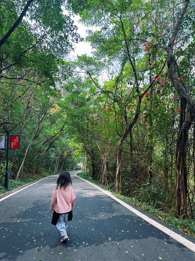 廣州春天｜雲道遠足吸氧｜越秀公園雕塑公園
