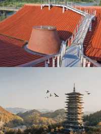 衢州之旅已結束，分享一些真實感受。