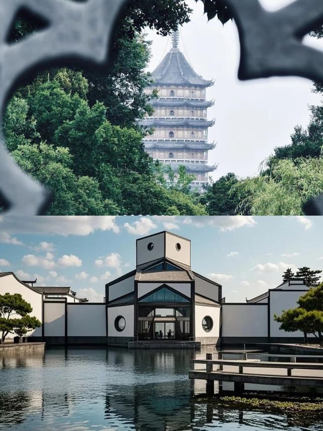 蘇州春天的浪漫，不止公園更是滿大街小巷