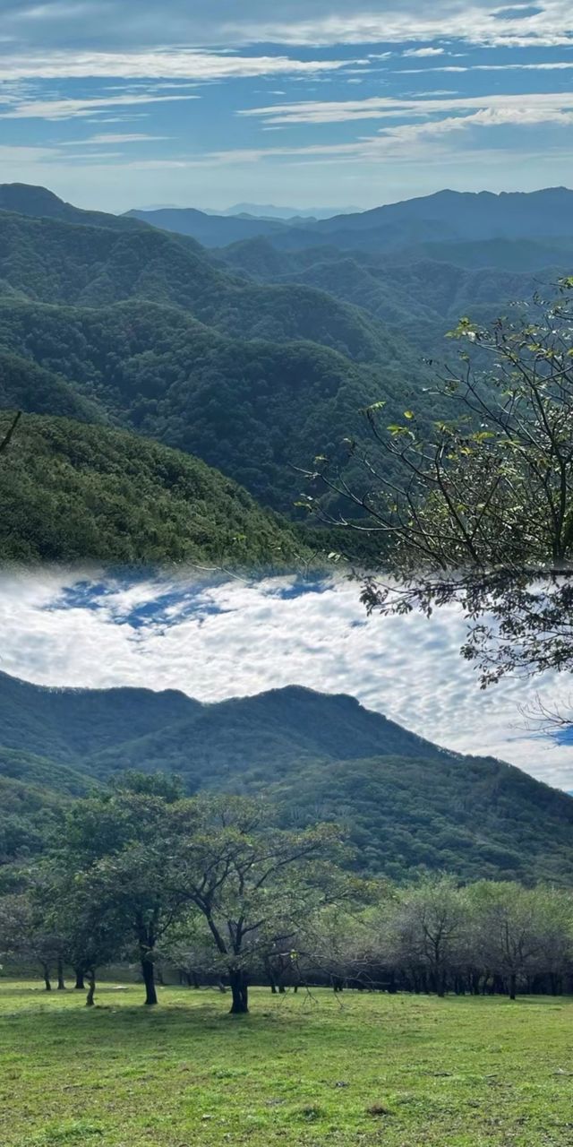 遼寧阿勒泰-本溪老坪砣探險指南