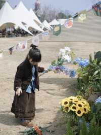 春天｜藏喺三垟濕地嘅春日小屋真係好啱打卡呀