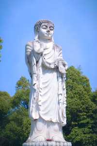 義烏雲黃禪寺/超適合放空自己的寶藏地方