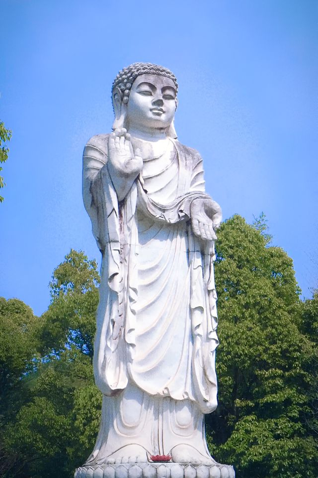 義烏雲黃禪寺/超適合放空自己的寶藏地方