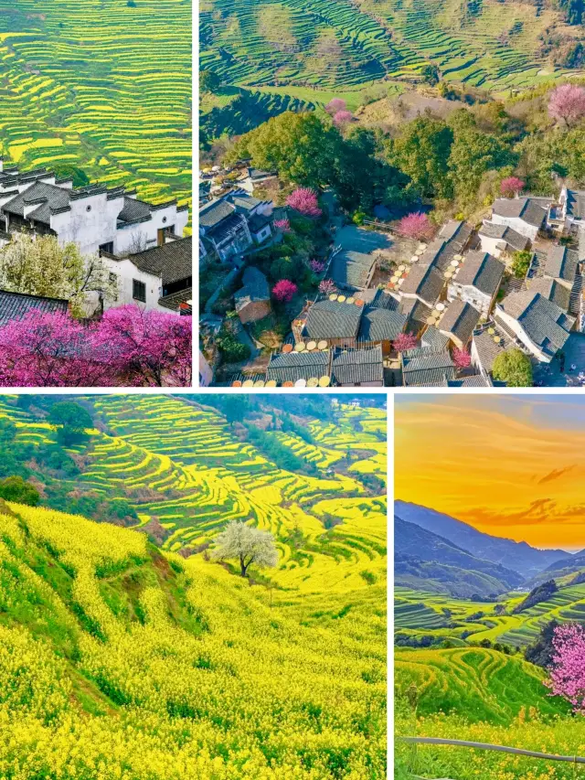 Wuyuan: My Budget Exploded After 2 Days! A Foolproof Guide to Avoiding Tourist Traps