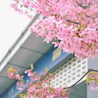 在武漢❗️在光谷‼️櫻花🌸地鐵站